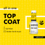 TOP COAT EGGSHELL MATTE ALL IN ONE 10,5ML ANDREIA